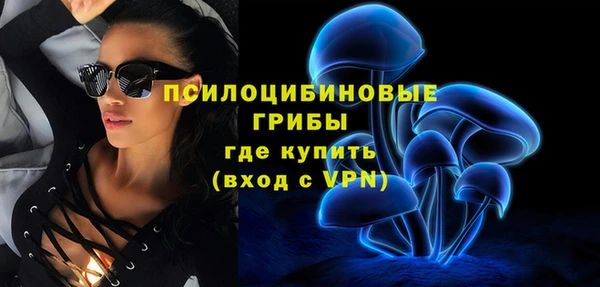 стаф Беломорск